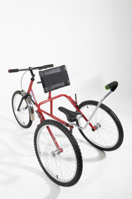 Трехколесный беговел-рейсранн «RUNION»